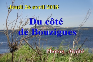 0426-1.jpg
